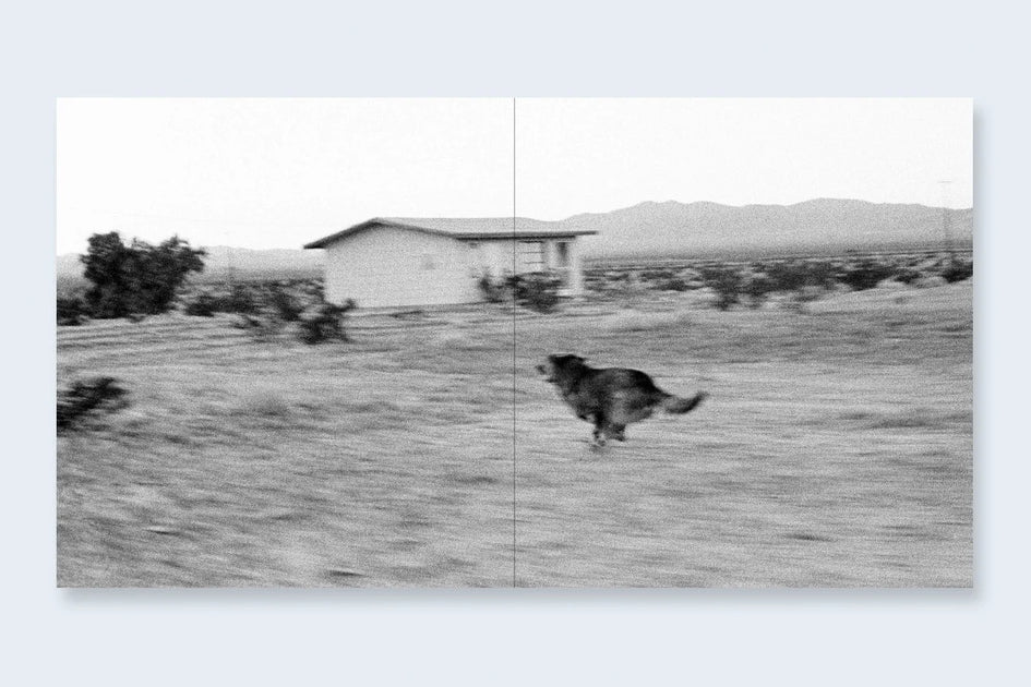 Dogs_4_jpg_1200x630.webp?v=