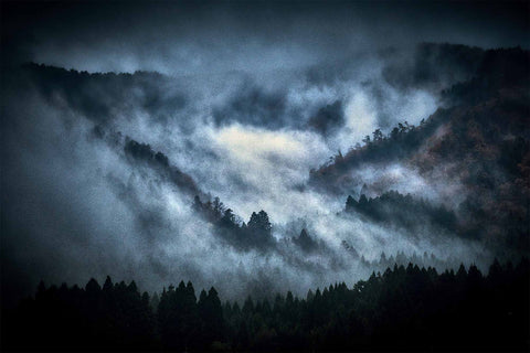 Lost in Kyoto (signed)