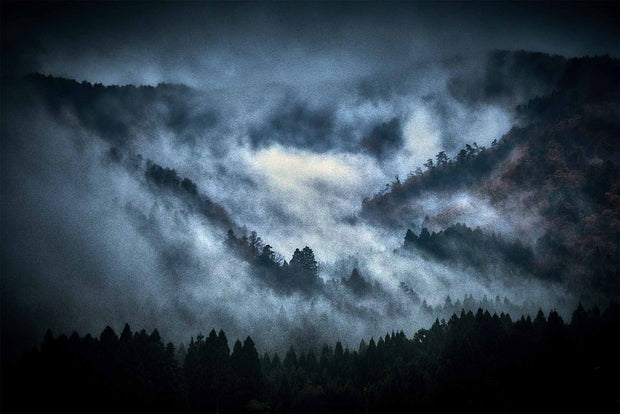 Lost in Kyoto (signed)