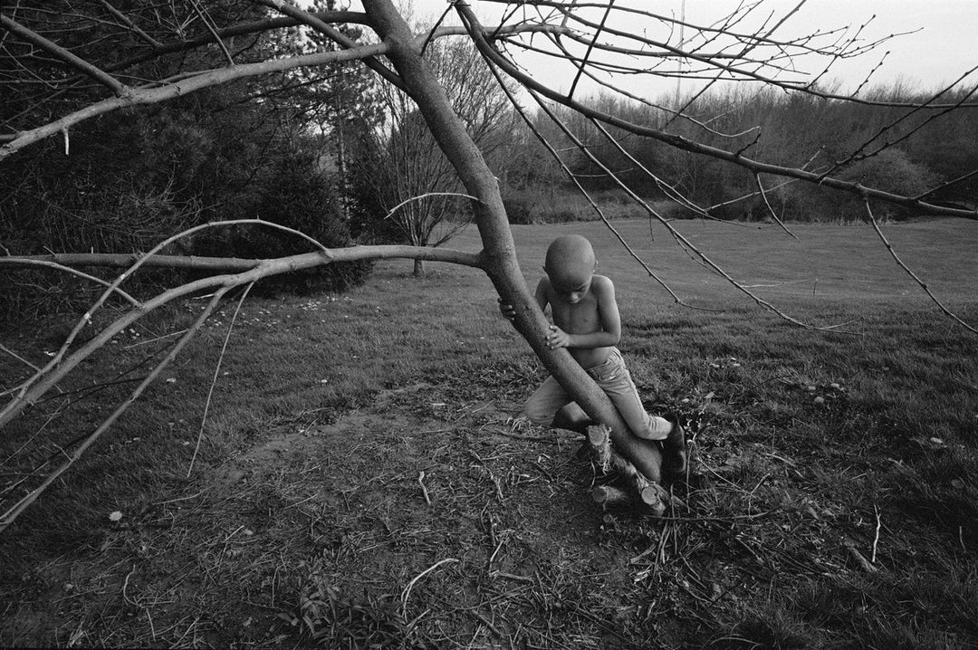 The Seraphim (signed) – Photobookstore