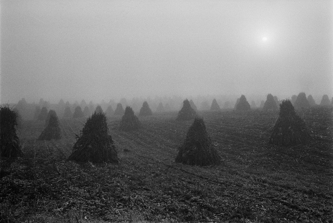 The Seraphim (signed) – Photobookstore