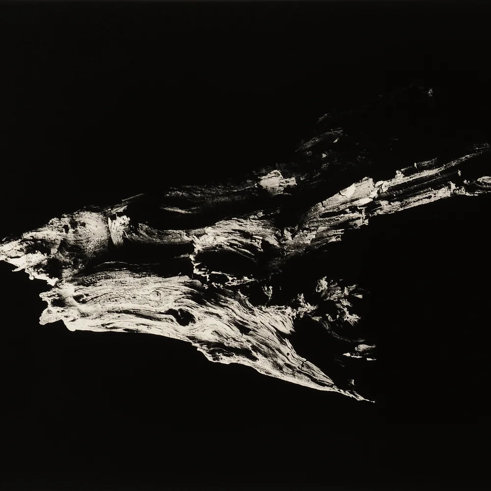 Kurayami by Masao Yamamoto – Photobookstore