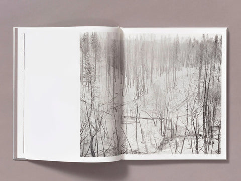 The Weight of Ash (signed)