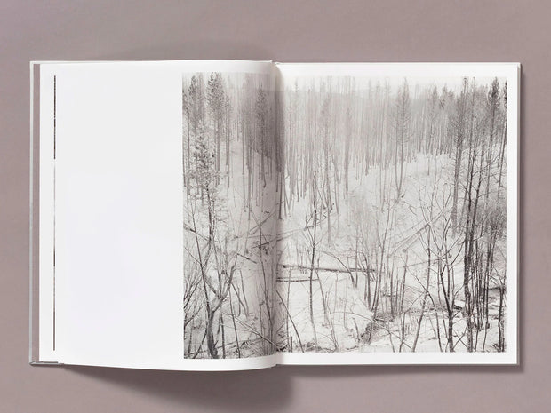 The Weight of Ash (signed)