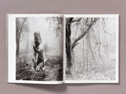 The Weight of Ash (signed)