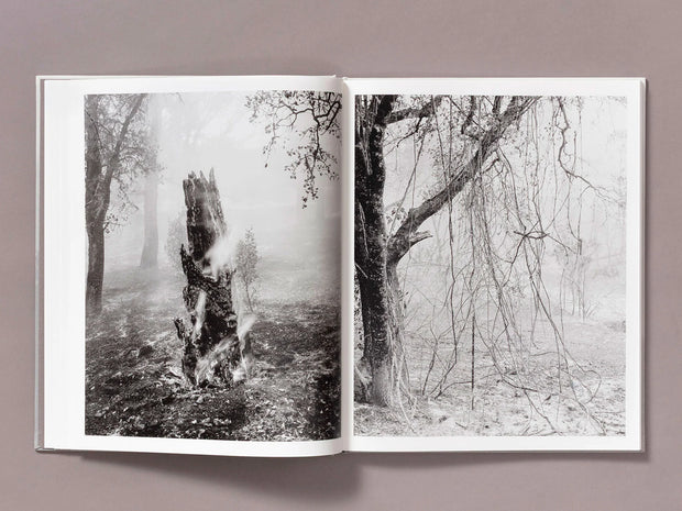 The Weight of Ash (signed)