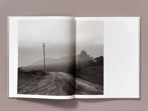 The Weight of Ash (signed)