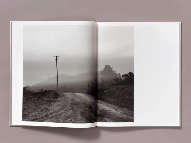 The Weight of Ash (signed)