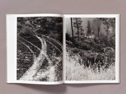 The Weight of Ash (signed)