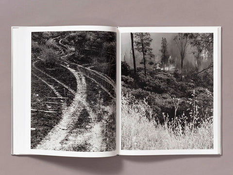 The Weight of Ash (signed)