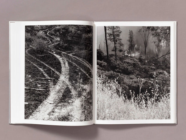 The Weight of Ash (signed)