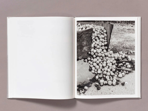 The Weight of Ash (signed)