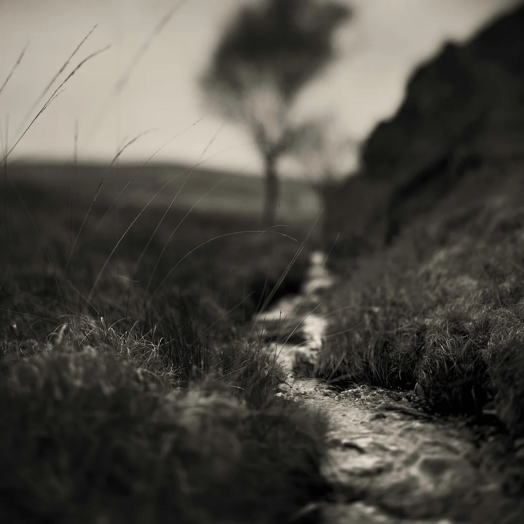 An Extremely Un-get-atable Place – Photobookstore