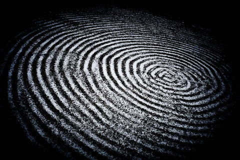 Lost in Kyoto (signed)