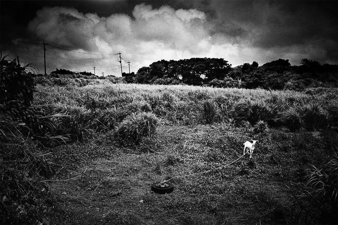 With Print – Photobookstore