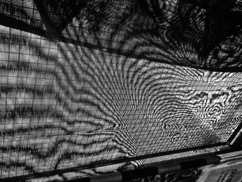 Record no.61 (signed)