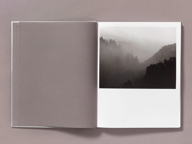 The Weight of Ash (signed)