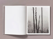 The Weight of Ash (signed)