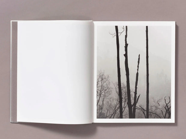 The Weight of Ash (signed)