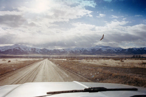 Failing – Photobookstore Failing – Photobookstore