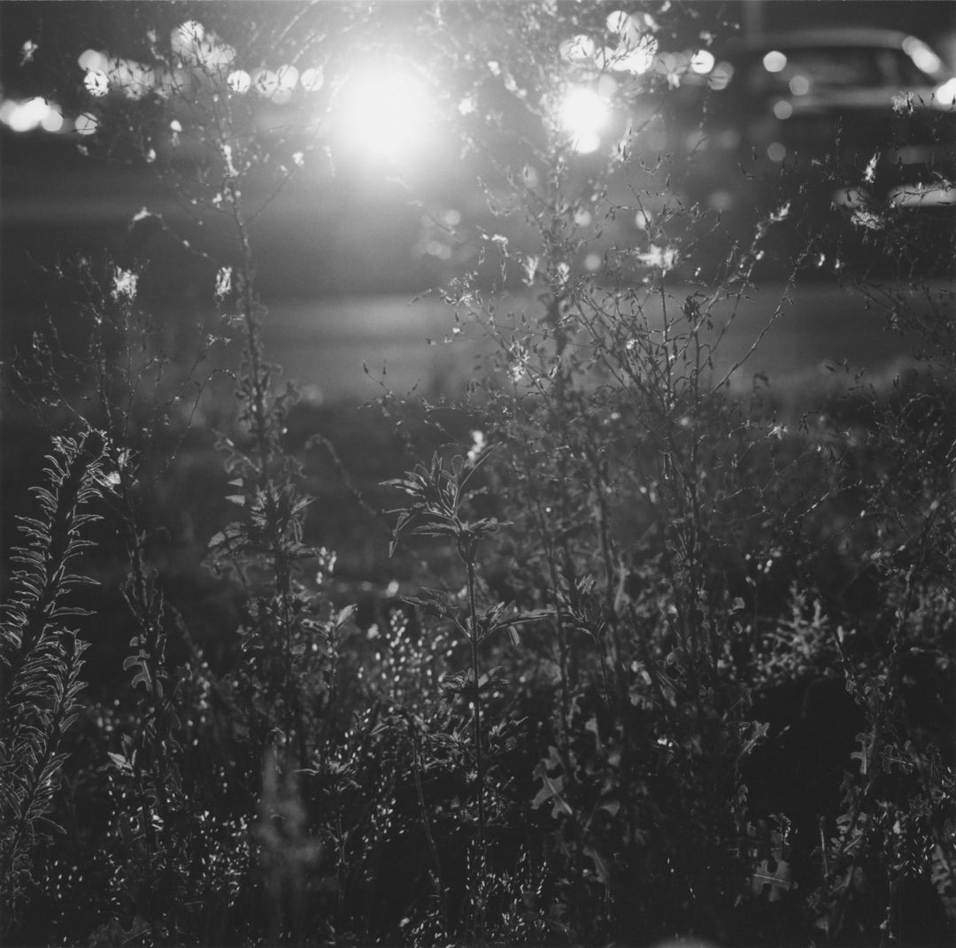 Summer Nights, Walking by Robert Adams – Photobookstore