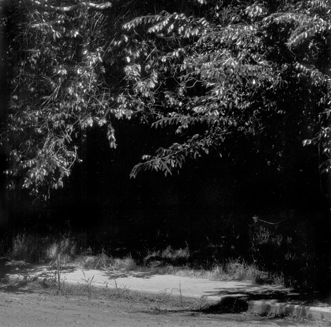 Summer Nights, Walking by Robert Adams – Photobookstore