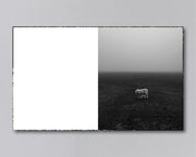 Reverie (signed) pre-order