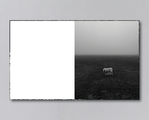 Reverie (signed) pre-order