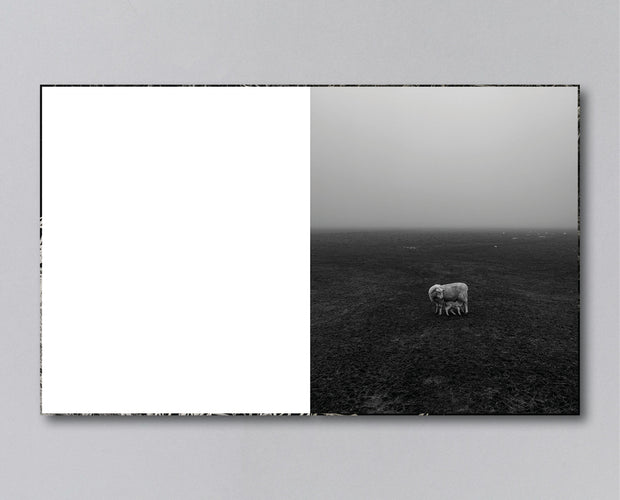 Reverie (signed) pre-order