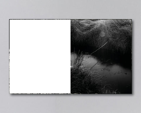 Reverie (signed) pre-order