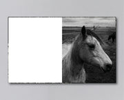 Reverie (signed) pre-order