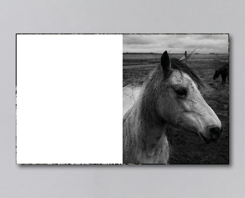 Reverie (signed) pre-order