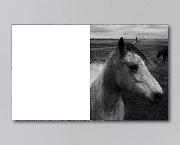 Reverie (signed) pre-order