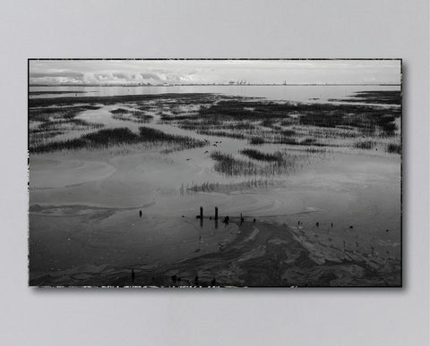 Reverie (signed) pre-order