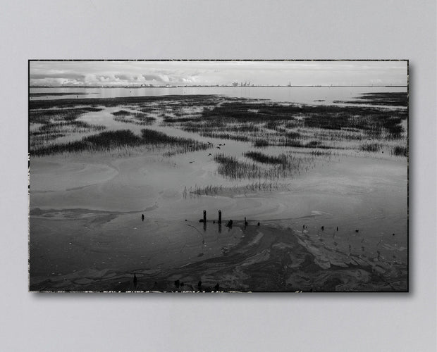 Reverie (signed) pre-order