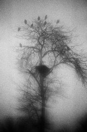 Blank Notes (signed)