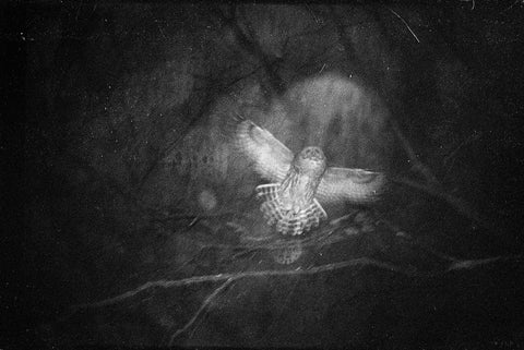 Blank Notes (signed)