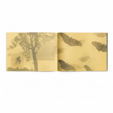 So it goes, so it goes, so it goes, so it goes