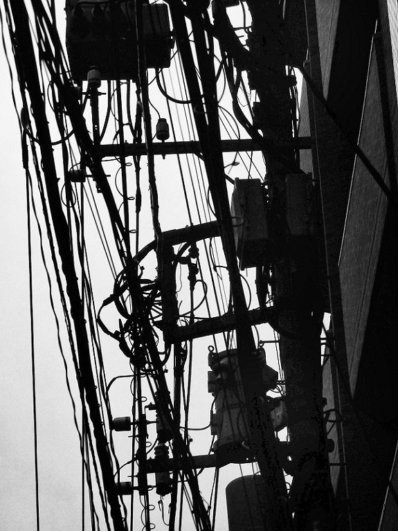 Record no.33 (signed)