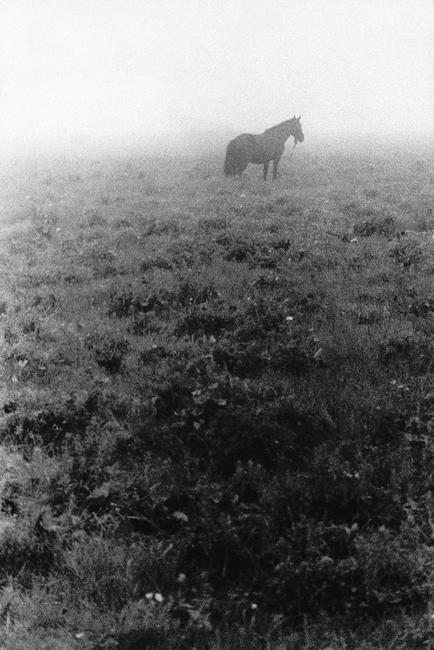 Solitude Standing