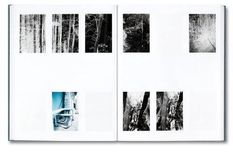 Distribution (signed)