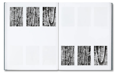 Distribution (signed)