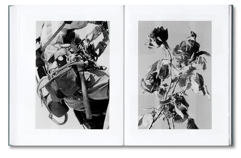 Distribution (signed)