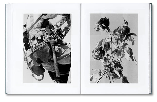 Distribution (signed)