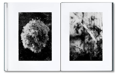 Distribution (signed)