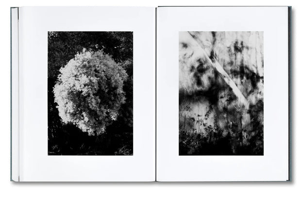 Distribution (signed)