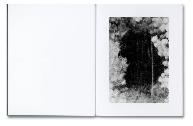 Distribution (signed)