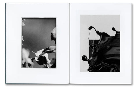 Distribution (signed)