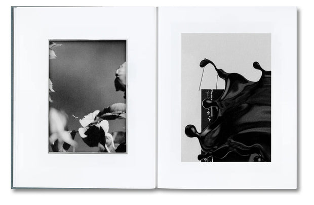 Distribution (signed)