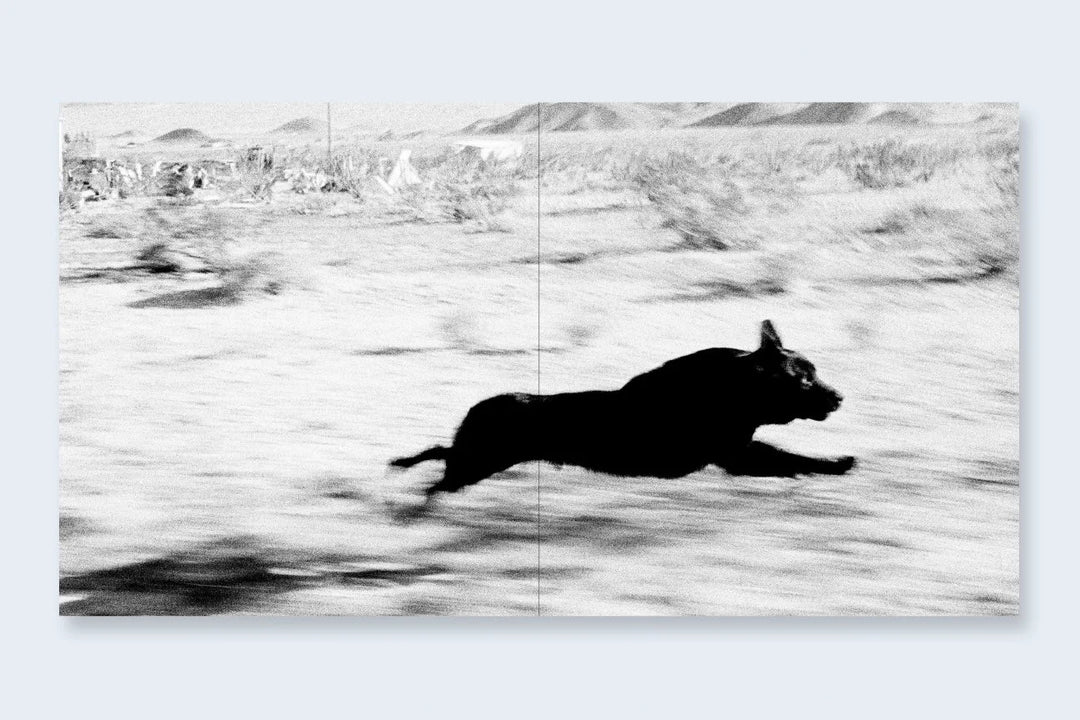 Dogs Chasing My Car In The Desert – Photobookstore